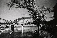 藏品(淡河漣漪-三峽橋)的圖片