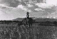 藏品(淡河漣漪-牧童與牛)的圖片