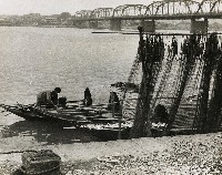 藏品(淡河漣漪-晒網)的圖片