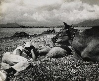 藏品(淡河漣漪-午寐（第二水門外）)的圖片