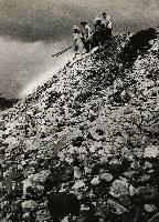 藏品(淡河漣漪-河邊垃圾場（第二水門外）)的圖片