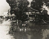 藏品(不詳)的圖片