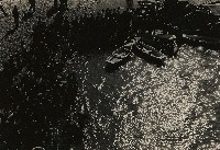 藏品(不詳)的圖片