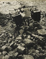 藏品(不詳)的圖片