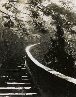 藏品(不詳)的圖片