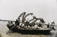 藏品(不詳)的圖片