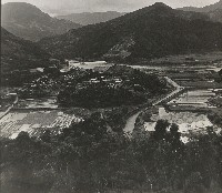 藏品(不詳)的圖片