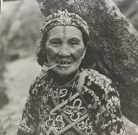 藏品(不詳)的圖片