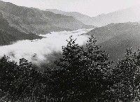 藏品(不詳)的圖片