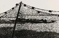 藏品(不詳)的圖片