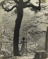 藏品(林間小立萬憲休)的圖片