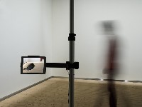 藏品(幻滅no.1)的圖片