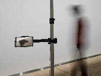 藏品(幻滅no.2)的圖片