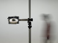 藏品(幻滅no.4)的圖片