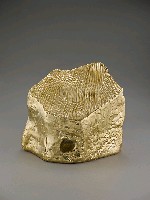 藏品(超越)的圖片