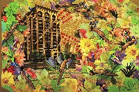 藏品(玉山迷蹤之三)的圖片