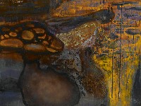 藏品(二分法認同的矛盾)的圖片