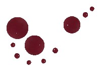 藏品(玫瑰的名字)的圖片