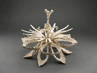 藏品(彼岸花)的圖片