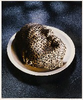 藏品(學校的日子)的圖片