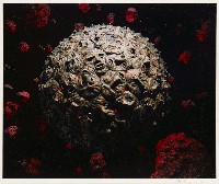 藏品(動亂)的圖片