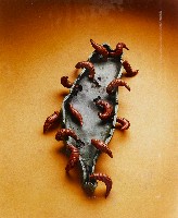 藏品(經濟犯罪)的圖片