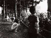 藏品(台灣-核災過後)的圖片