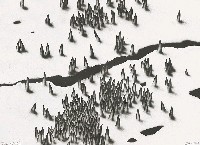 藏品(私密的傷痕 I)的圖片