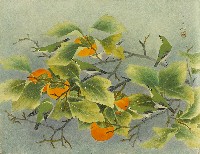 藏品(紅柿與鳥)的圖片