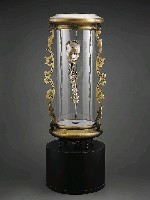 藏品(標本)的圖片