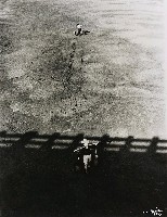 藏品(旱地求生)的圖片