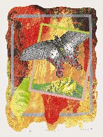 藏品(灣得福--wonderfu)的圖片