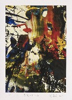 藏品( 應隨)的圖片