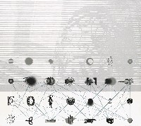 藏品(典藏)的圖片