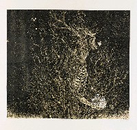 藏品(太陽雨中的吶喊)的圖片