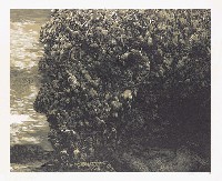 藏品(失控的潛意識)的圖片