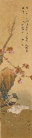藏品(櫻花鵓鴣)的圖片