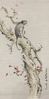 藏品(楓猴)的圖片