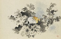 藏品(珊瑚游魚)的圖片