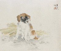 藏品(幼犬)的圖片