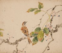 藏品(花鳥)的圖片