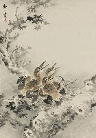 藏品(待哺)的圖片