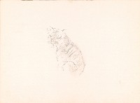 藏品(虎(鉛描))的圖片