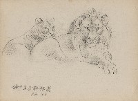 藏品((1)神戶王子動物園(獅);(2)白鷺鷥群)的圖片
