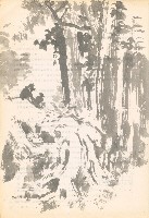 藏品(檜林雙猴)的圖片