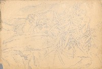 藏品(竹鳥)的圖片