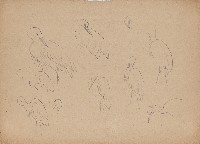 藏品((1)鷺鷥(小白鷺);(2)鷺鷥(小白鷺)也有夜鷺)的圖片