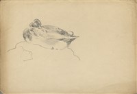 藏品((1)綠頭鴨;(2)菜鴨)的圖片