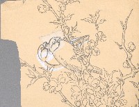 藏品(一對文鳥桃花)的圖片