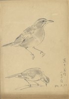 藏品((1)鳥(鶇);(2)鳥(鶇))的圖片
